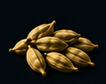 Kardamom